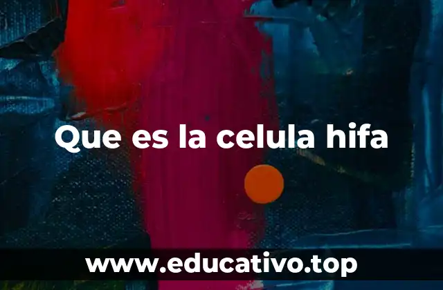 Estructura y morfología de las hifas fúngicas