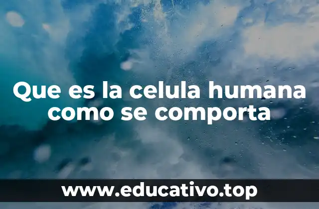Que es la celula humana como se comporta