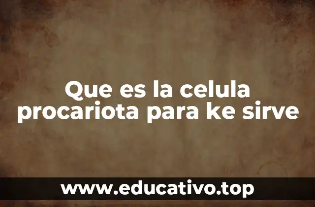 Que es la celula procariota para ke sirve