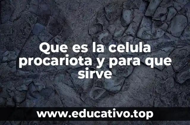 Que es la celula procariota y para que sirve