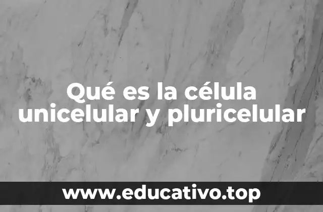Qué es la célula unicelular y pluricelular