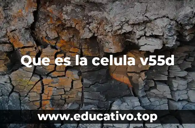 Que es la celula v55d