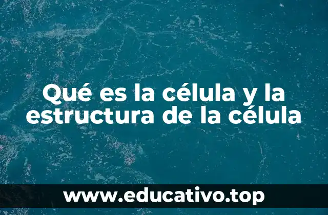 Qué es la célula y la estructura de la célula