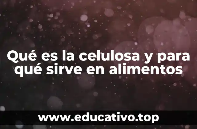 Qué es la celulosa y para qué sirve en alimentos