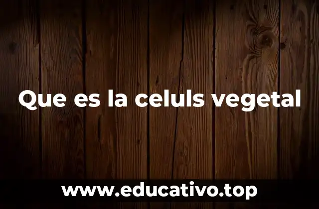 Que es la celuls vegetal