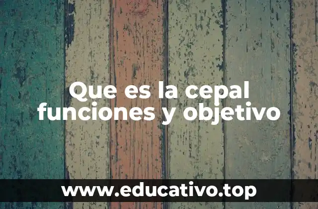 Que es la cepal funciones y objetivo