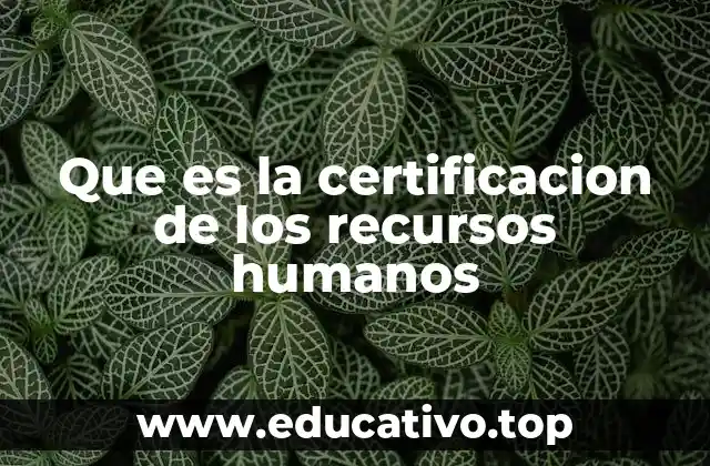 Que es la certificacion de los recursos humanos