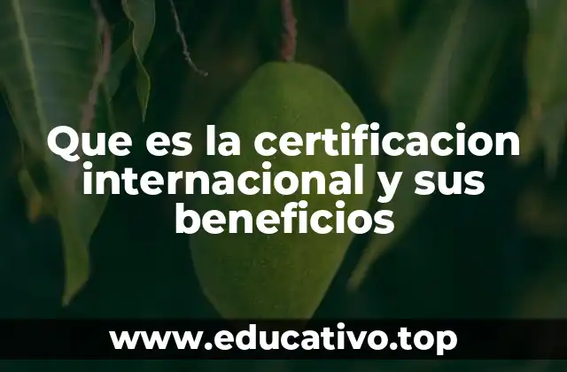 El papel de la certificación en la globalización empresarial