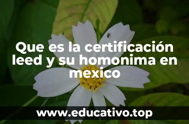 Que es la certificación leed y su homonima en mexico