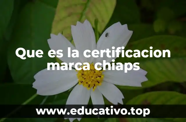 Que es la certificacion marca chiaps