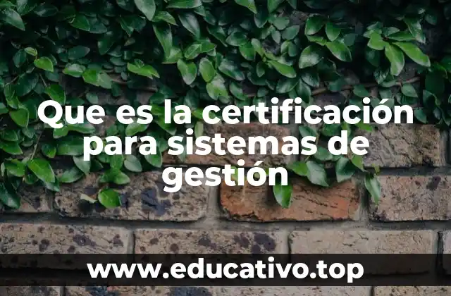 El rol de los sistemas de gestión en la mejora de la eficiencia empresarial