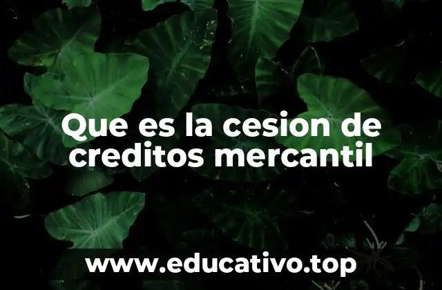 Que es la cesion de creditos mercantil