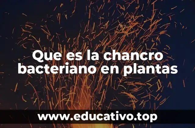 Que es la chancro bacteriano en plantas