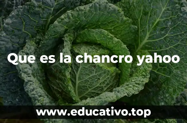 Que es la chancro yahoo