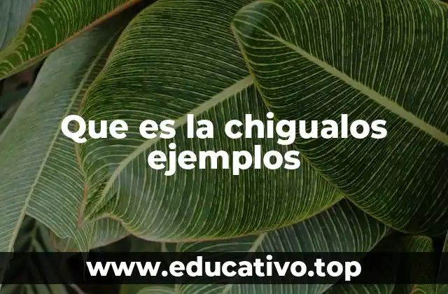 Que es la chigualos ejemplos