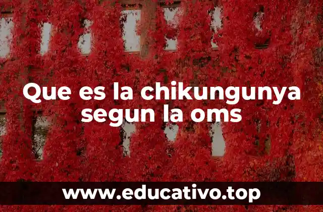 Que es la chikungunya segun la oms