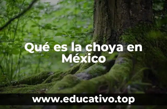 Qué es la choya en México