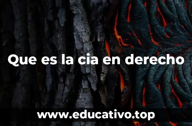 Que es la cia en derecho