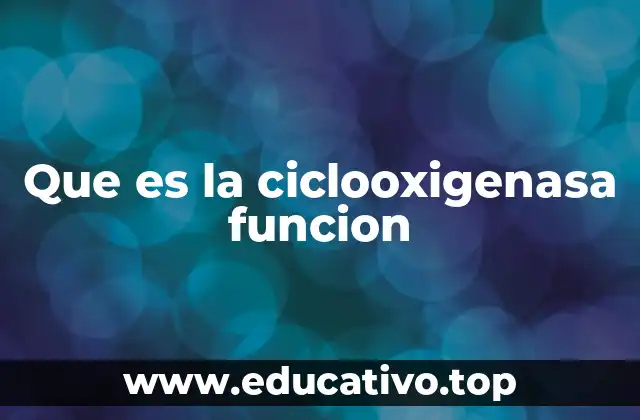 Que es la ciclooxigenasa funcion