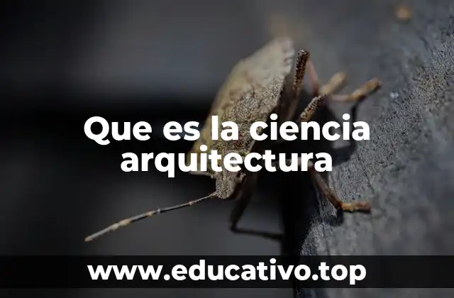 Que es la ciencia arquitectura