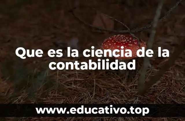 La importancia de la contabilidad en la toma de decisiones empresariales