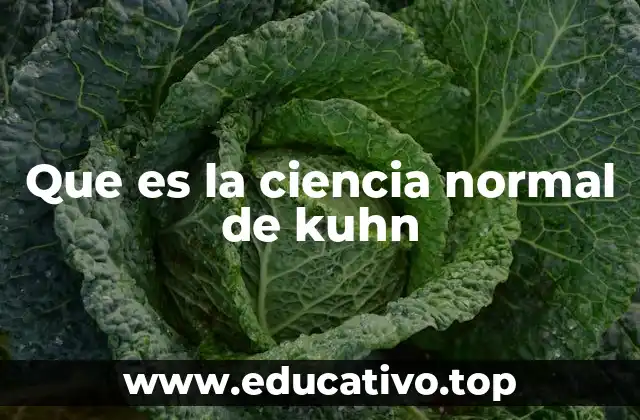 Que es la ciencia normal de kuhn