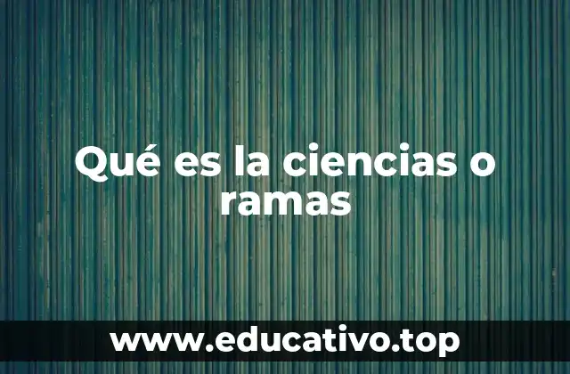 Qué es la ciencias o ramas