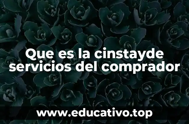 Que es la cinstayde servicios del comprador
