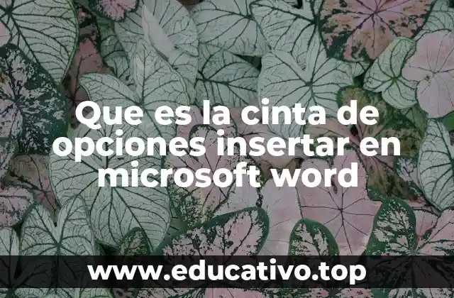 Que es la cinta de opciones insertar en microsoft word