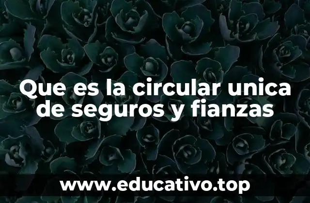 Que es la circular unica de seguros y fianzas