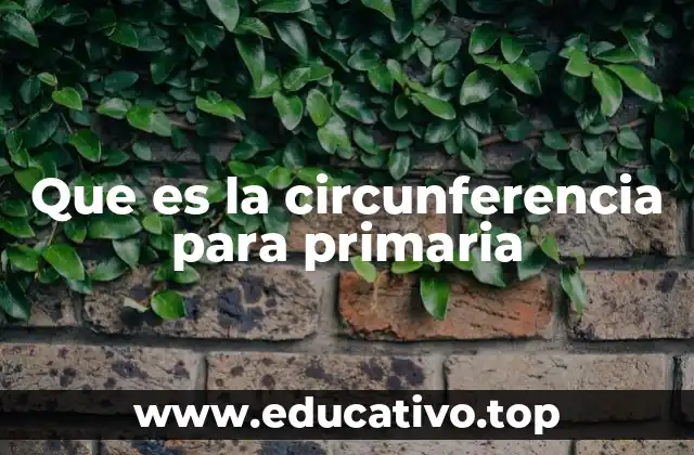 Que es la circunferencia para primaria