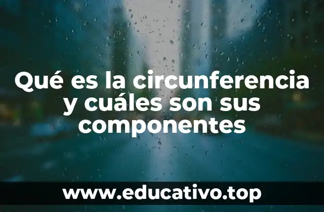 Qué es la circunferencia y cuáles son sus componentes