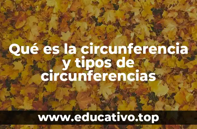 Qué es la circunferencia y tipos de circunferencias