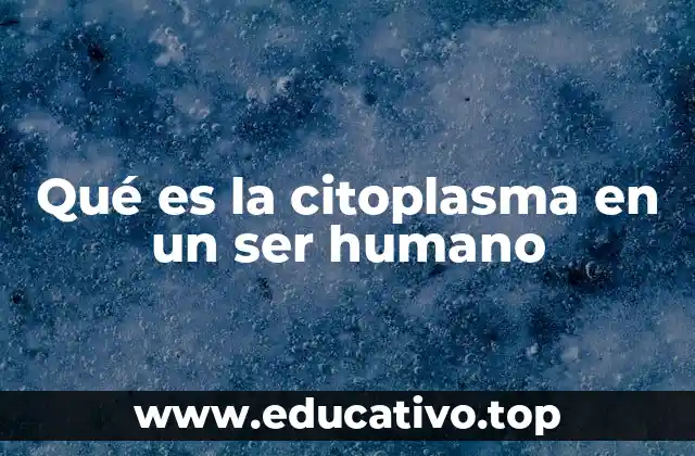 Qué es la citoplasma en un ser humano