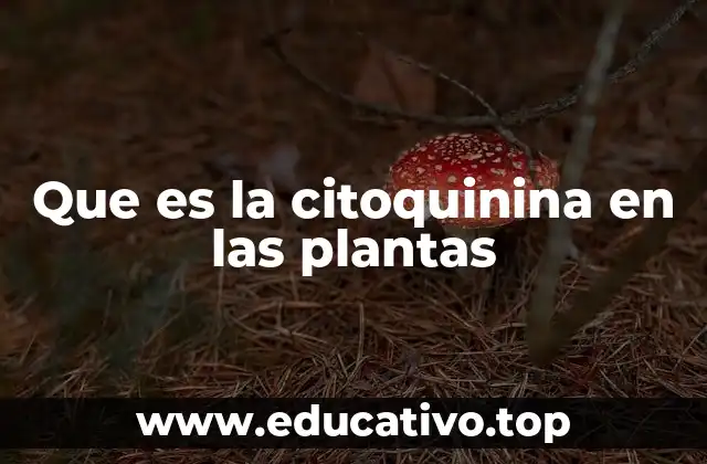 Que es la citoquinina en las plantas