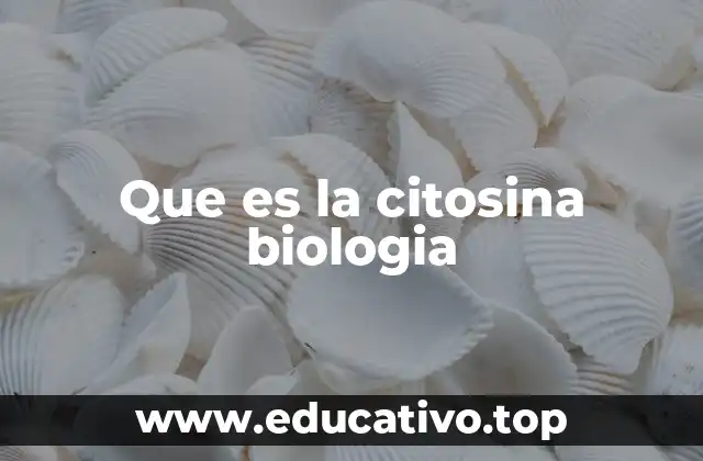 Que es la citosina biologia