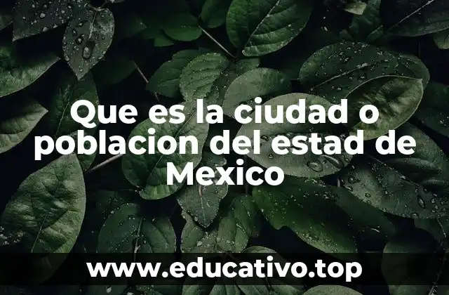 Que es la ciudad o poblacion del estad de Mexico