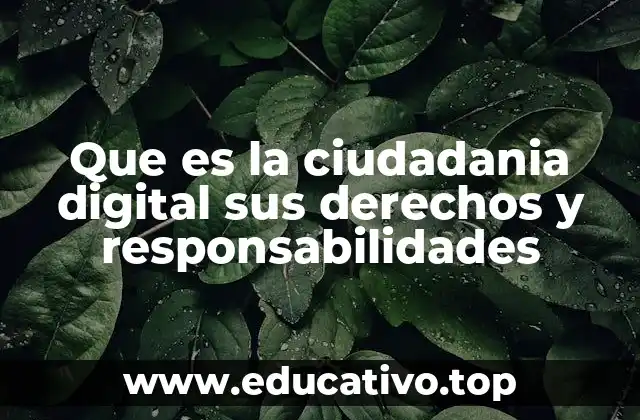 Que es la ciudadania digital sus derechos y responsabilidades