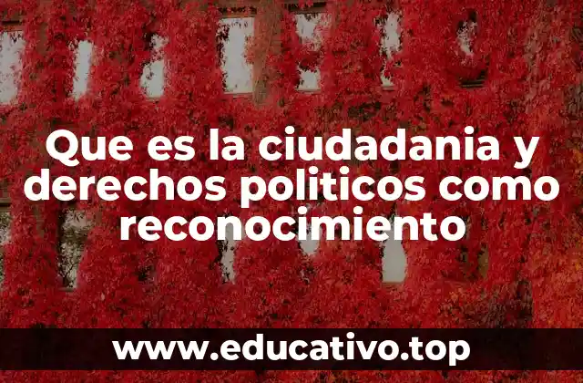 Que es la ciudadania y derechos politicos como reconocimiento