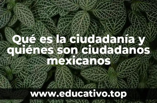 Qué es la ciudadanía y quiénes son ciudadanos mexicanos