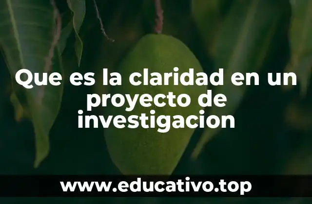Que es la claridad en un proyecto de investigacion