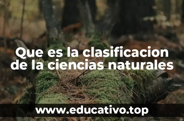 Que es la clasificacion de la ciencias naturales