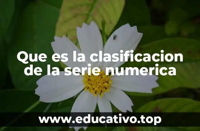 Que es la clasificacion de la serie numerica