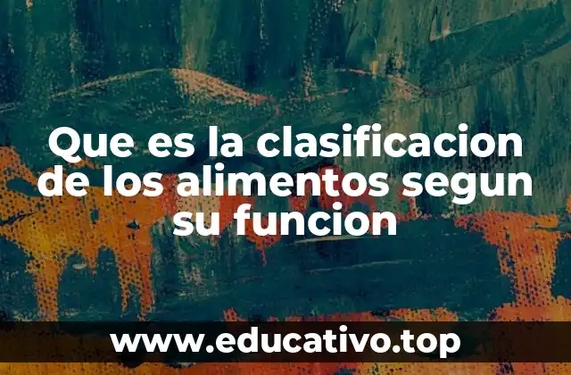 Que es la clasificacion de los alimentos segun su funcion