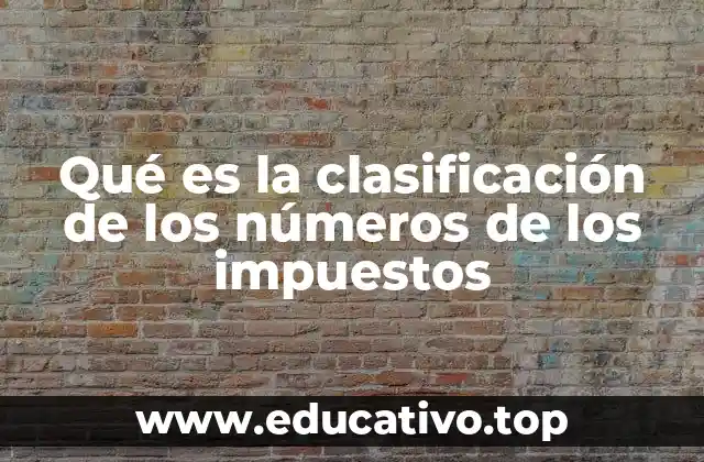 Qué es la clasificación de los números de los impuestos