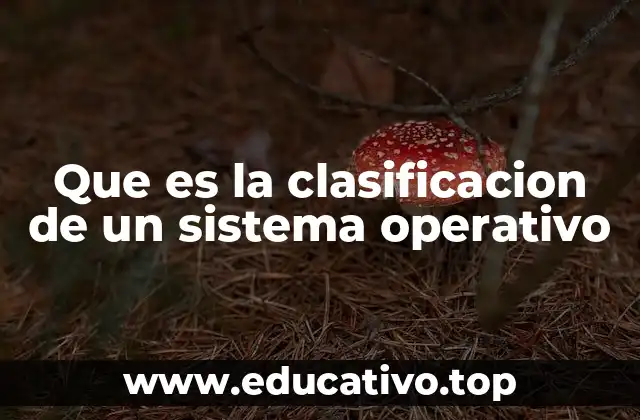 Que es la clasificacion de un sistema operativo