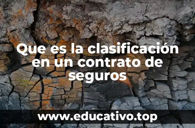 Que es la clasificación en un contrato de seguros