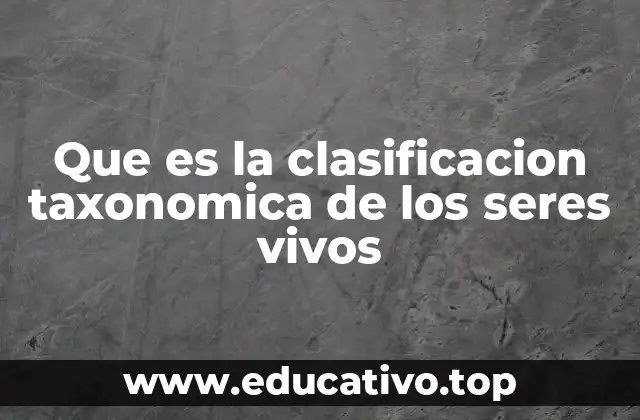 Que es la clasificacion taxonomica de los seres vivos