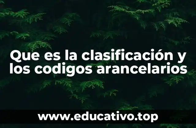 Que es la clasificación y los codigos arancelarios