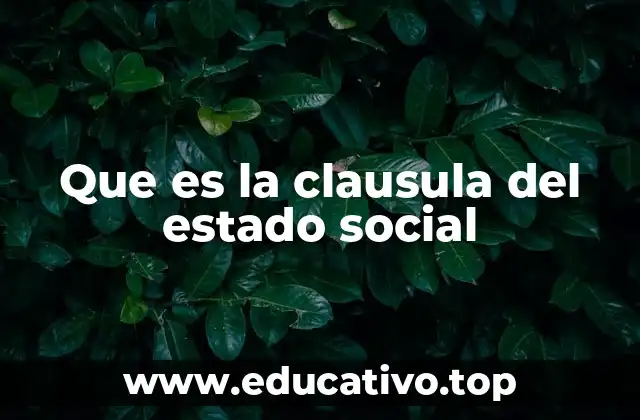 Que es la clausula del estado social